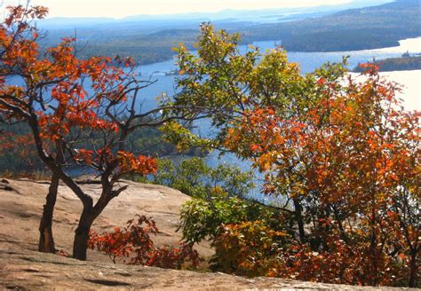 NH foliage in the Lakes Region | Lake, Favorite places, Places to see