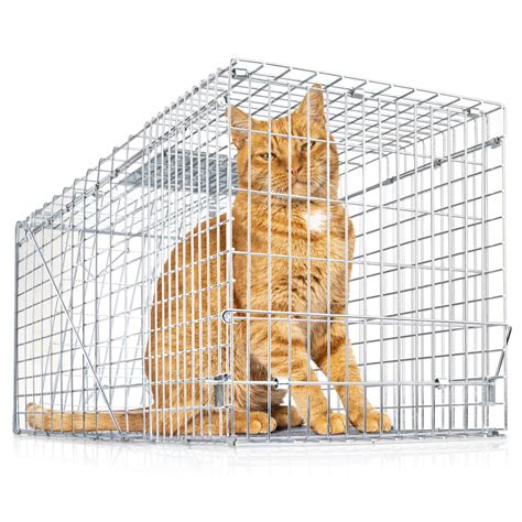 eXuby Large Cat Trap for Stray / Feral Cats & Other Animals - 31"x12 ...