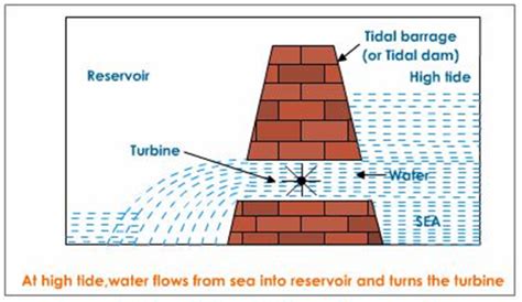 Explain the working of tidal energy power plant with a neat diagram ...