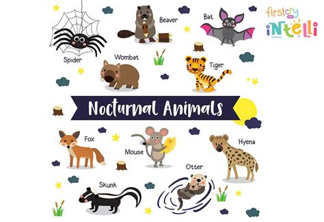 Nocturnal Animals List: What Stays Awake At Night?, 46% OFF