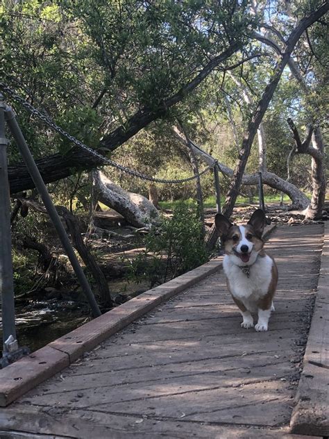 PENASQUITOS CREEK PARK - 10 Photos - 11939-12141 Camino Del Sur, San ...