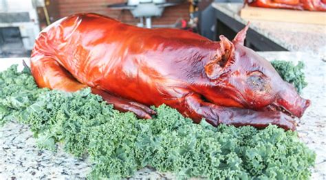 Plans For Homemade Bbq Rotisserie Pig | Awesome Home