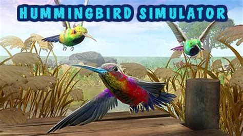 Hummingbird simulator 3D android game free download : Dertz