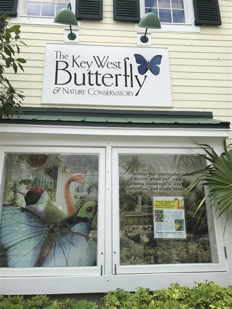 Key West Butterfly and Nature Conservatory - Key West, Florida (USA ...