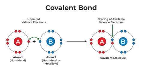 READ THE SCIENCE: 10.5 Covalent bonding