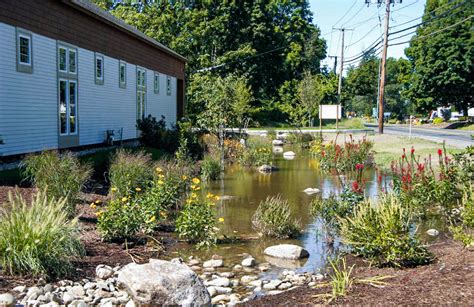 Bioretention Basins — Berkshire Design Group