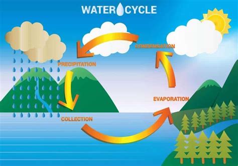 What is Hydrosphere? Examples, Facts and Characteristics - Jotscroll