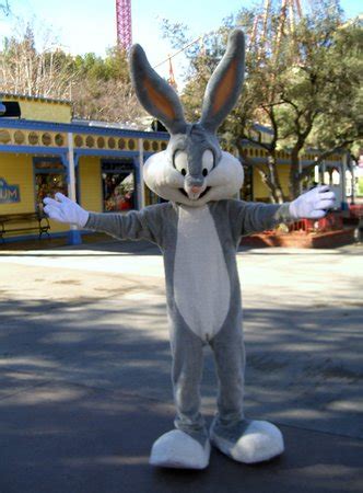 Bugs Bunny | Six Flags Wiki | Fandom