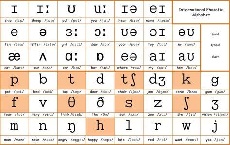 International Phonetic Alphabet Sounds : Ipa Charts Paul Meier Dialect ...