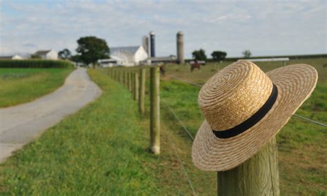 Amish Farmer Threatened for Not Giving Up Traditional Farming | The ...