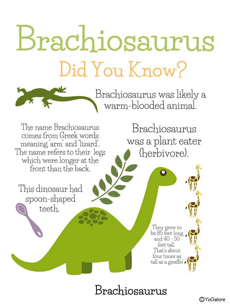 Printable Dinosaur Facts