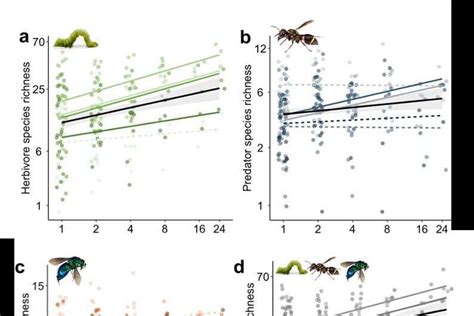 Arthropods in high-diversity forests found to contribute to improved ...