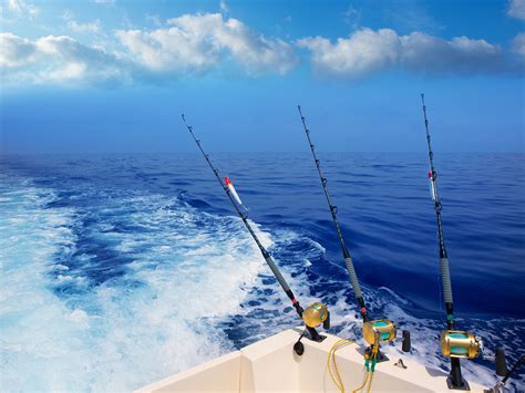 Deep Sea Game Fishing - Half or Full Day - Gallery Tours & Safaris