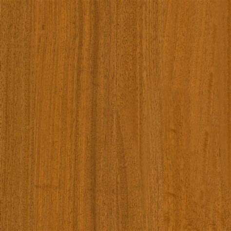 Iroko wood fine medium color texture seamless 04409