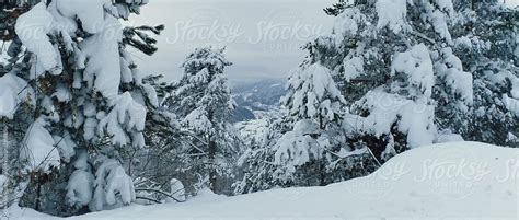 "Snowy Mountain Landscape" by Stocksy Contributor "Marko" - Stocksy