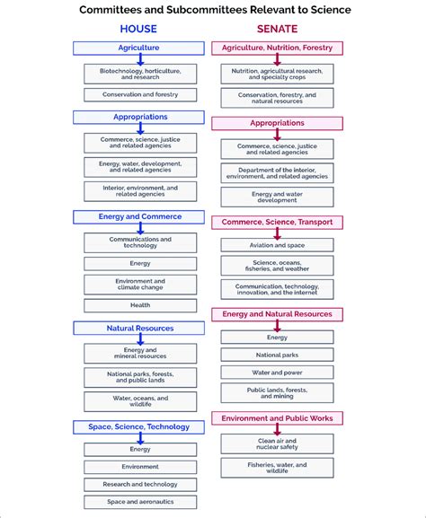 | Current 2019 standing committees in the U.S. House of Representatives ...