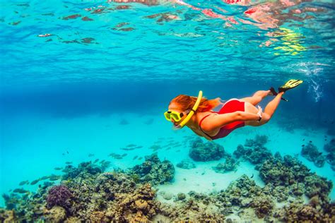 The 10 Best Snorkeling Spots In Nassau, The Bahamas | Sandals