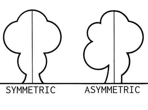 What Is Symmetry