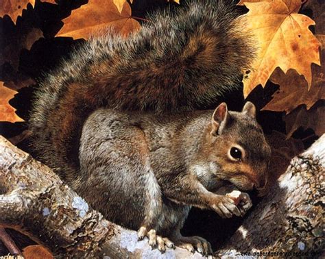 Autumn Forest Animals | Wallpapers Gallery