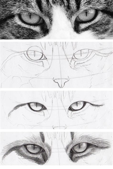 How to Draw Cat Eyes That Look Real