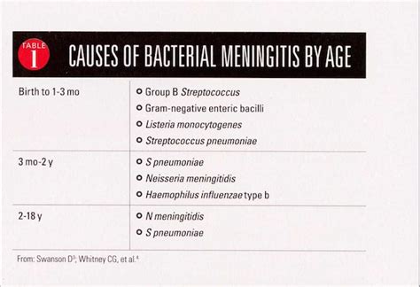 Meningitis Physiopedia 4444 | The Best Porn Website