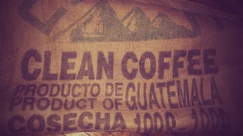 3 Best Guatemalan Coffee Brands: Ultimate Diversity In A Cup - Il ...