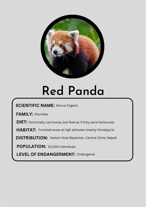 Red Panda Habitat Destruction