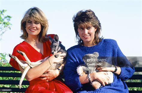 Lisa Whelchel as Blair Warner, Nancy McKeon as Joanne 'Jo' Polniaczek ...