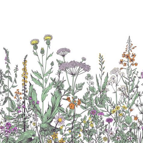 Field of Prairie Flowers Wallpaper Mural | Prairie flower, Mural ...