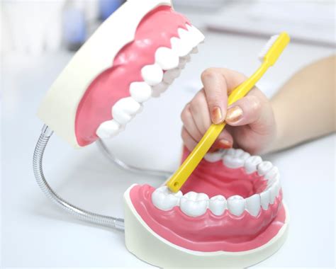 Teeth cleaning tips you should know - Minovi Dental DDS Dentist DC