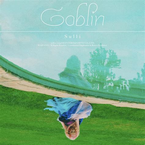 SULLI - Goblin - Reviews - Album of The Year