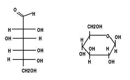 General Structure of Carbohydrates | Overview & Properties - Video ...