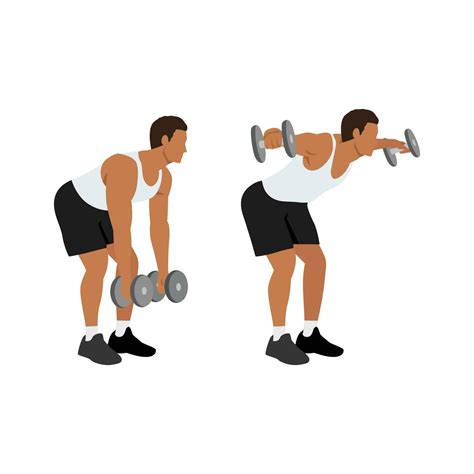 Man doing Dumbbell bent over reverse flyes. Flat vector illustration ...