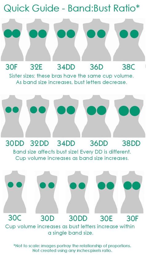 A helpful chart for bra sizes | Bra fitting, Bra, Fashion