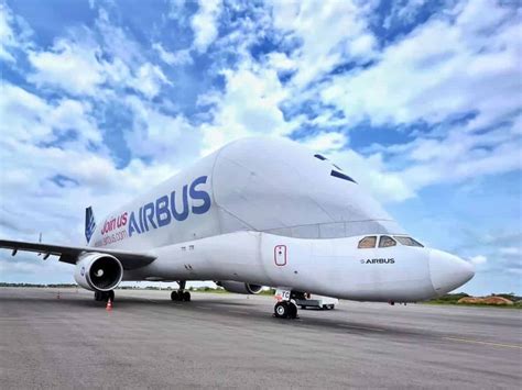 Whale-shaped Airbus Beluga lands at Hyderabad airport