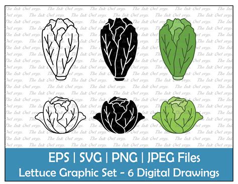 Collage Visual Arts Lettuce Dxf Eps Lettuce Clipart Lettuce Png Lettuce ...