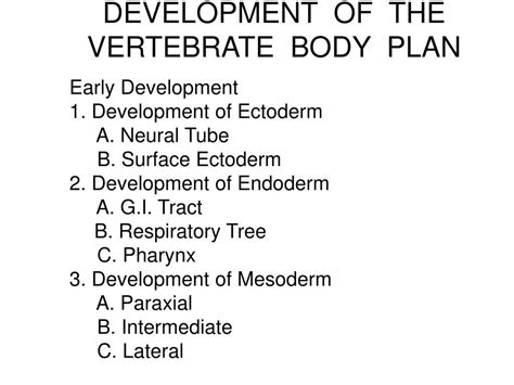 PPT - Development of the Vertebrate Body Plan PowerPoint Presentation ...