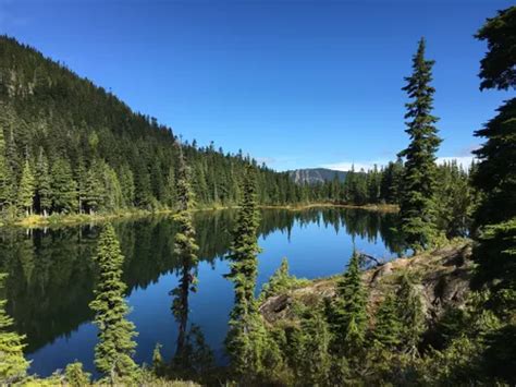 Best 10 Hikes and Trails in Strathcona Provincial Park | AllTrails