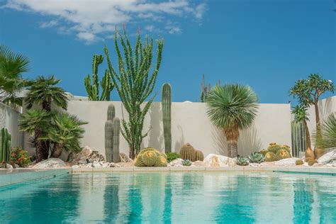 mid-Century modern | Pool landscape design, Backyard pool designs ...