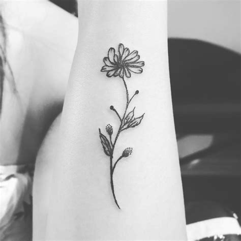 Beautiful Aster Flower Tattoo Ideas and Their Meaning