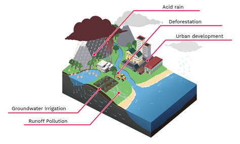 Human influence on the water cycle - Labster