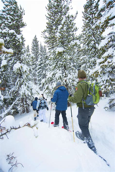 Estes Park: your base for winter adventures in the Rocky Mountains ...