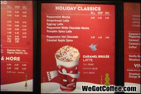 starbucks hot drinks menu