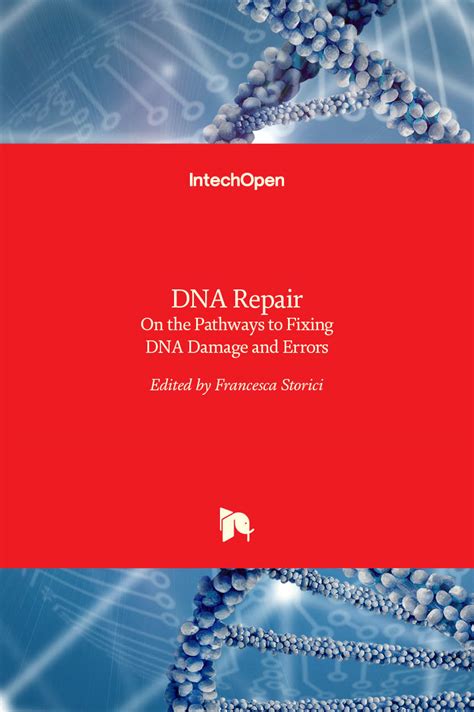 DNA Repair - On the Pathways to Fixing DNA Damage and Errors | IntechOpen