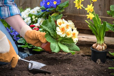 Casey's Garden Shop & Florist : We put the "Bloom" in Bloomington