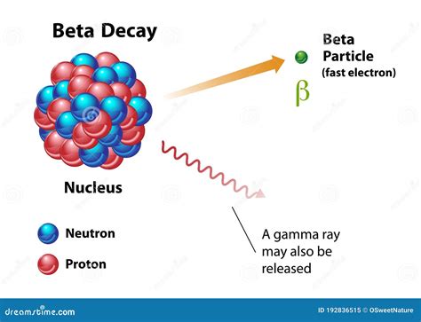 Beta Decay Radiation Release of Beta Particle Stock Vector ...