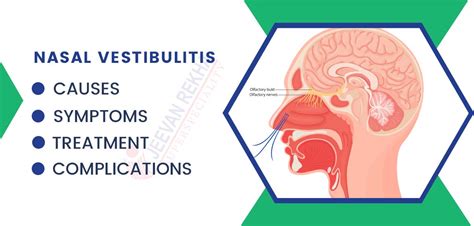 Nasal Vestibulitis: Causes, Symptoms, Complications, and Treatment