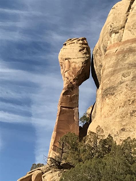 Trump Orders Largest National Monument Reduction In U.S. History ...