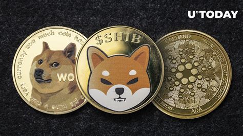 This Indicator Shows That Shiba Inu (SHIB), Cardano (ADA), and Dogecoin ...