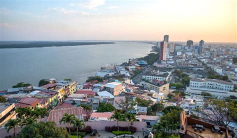 Safari to Hotel Oro Verde Guayaquil with Africa Travel Resource